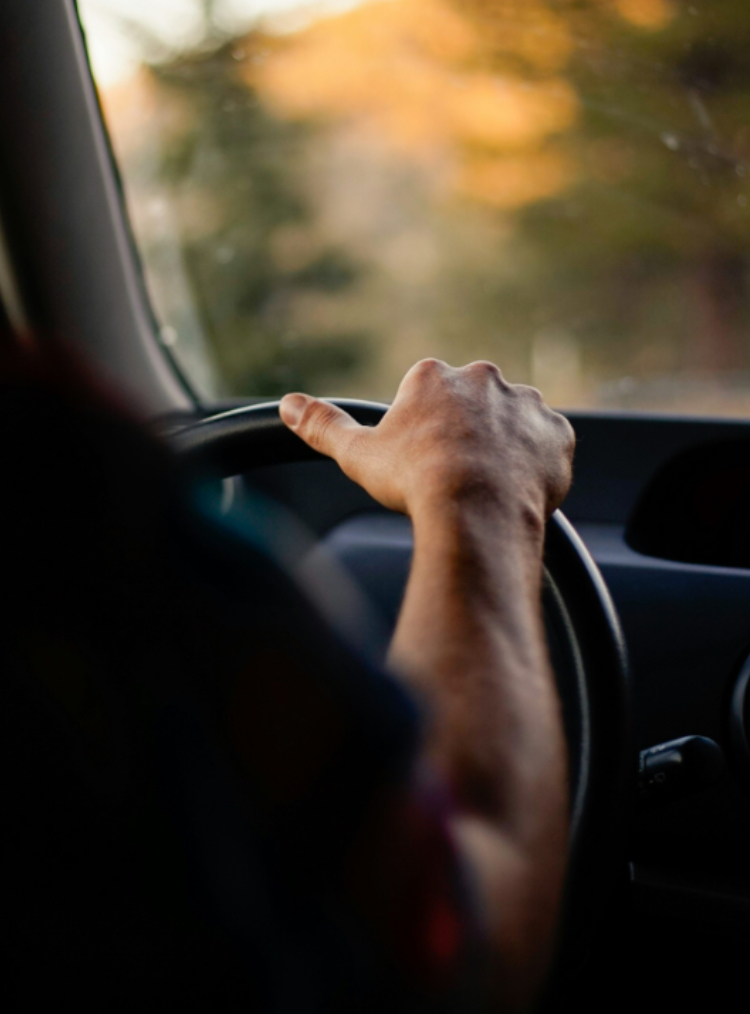 4hr Half Day Shift (anytime from 7am - 8pm)