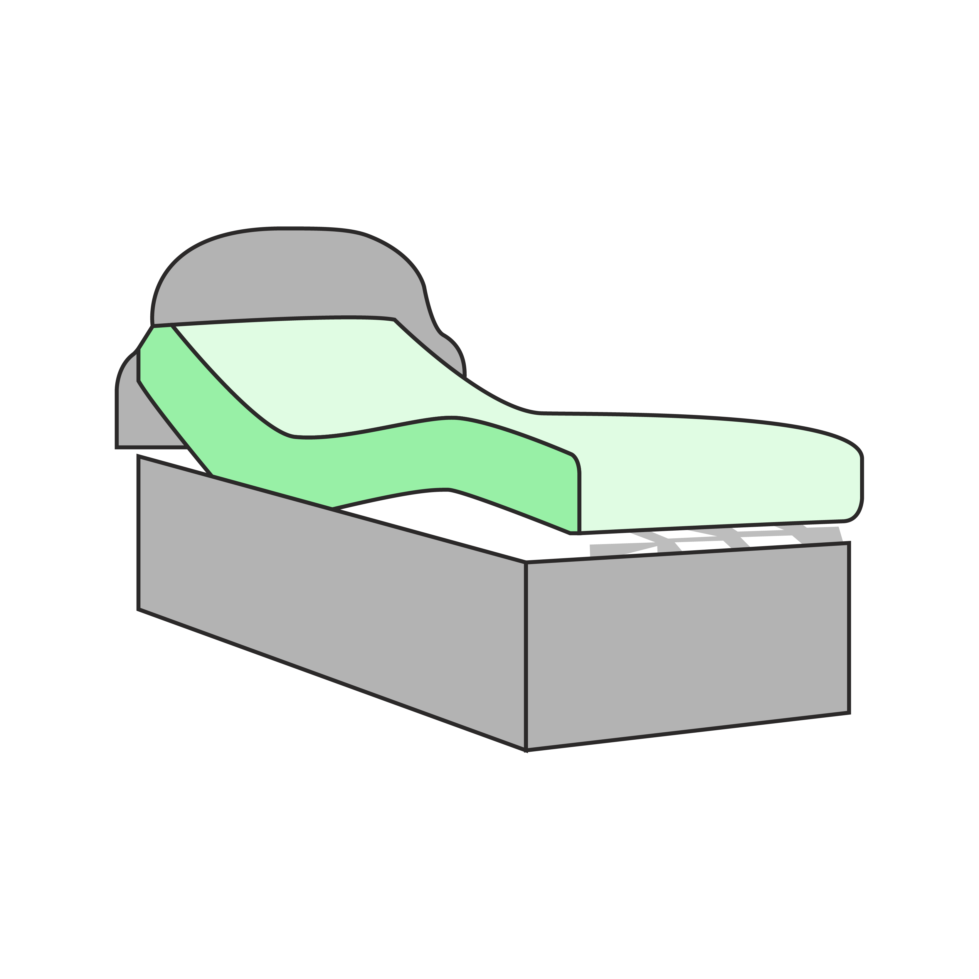 Single Electric Bed plus Mattress